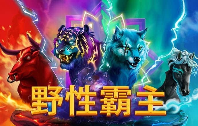 美人鱼正版资料免费下载网站